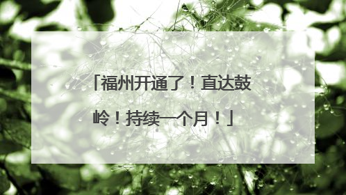 福州开通了！直达鼓岭！持续一个月！