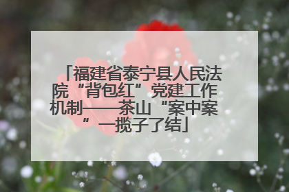 福建省泰宁县人民法院“背包红”党建工作机制——茶山“案中案”一揽子了结
