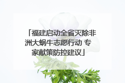 福建启动全省灭除非洲大蜗牛志愿行动 专家献策防控建议