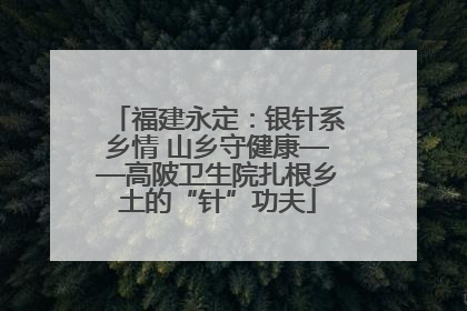 福建永定：银针系乡情 山乡守健康——高陂卫生院扎根乡土的“针”功夫