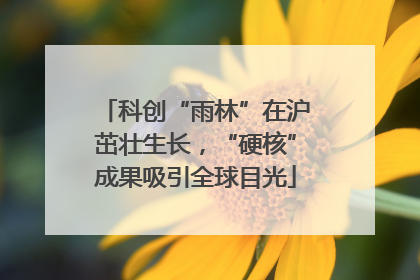 科创“雨林”在沪茁壮生长，“硬核”成果吸引全球目光