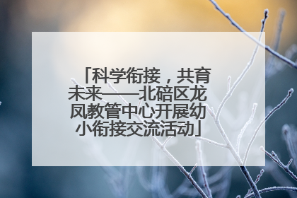 科学衔接，共育未来——北碚区龙凤教管中心开展幼小衔接交流活动