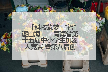 科技筑梦 “智”逐山海——青海省第十五届中小学生机器人竞赛 暨第八届创新设计大赛见闻