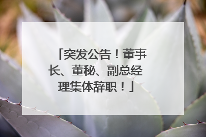 突发公告！董事长、董秘、副总经理集体辞职！