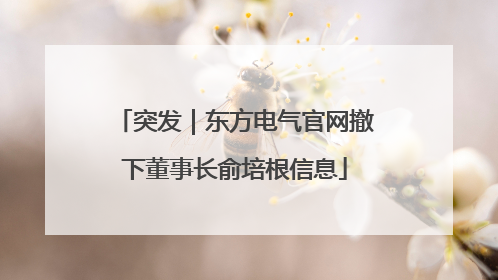 突发｜东方电气官网撤下董事长俞培根信息