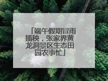 端午假期冒雨插秧，张家界黄龙洞景区生态田园农事忙