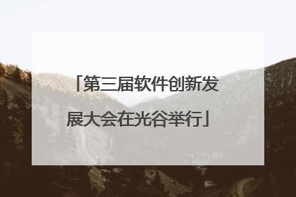 第三届软件创新发展大会在光谷举行