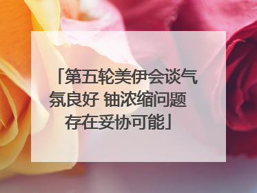 第五轮美伊会谈气氛良好 铀浓缩问题存在妥协可能