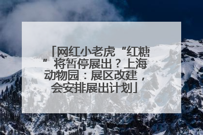 网红小老虎“红糖”将暂停展出？上海动物园：展区改建，会安排展出计划