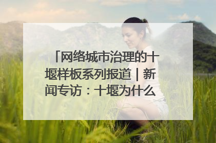 网络城市治理的十堰样板系列报道｜新闻专访：十堰为什么成为“黑马型”城市治理网络维度典型
