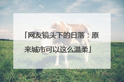 网友镜头下的日落：原来城市可以这么温柔