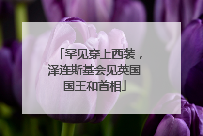 罕见穿上西装，泽连斯基会见英国国王和首相