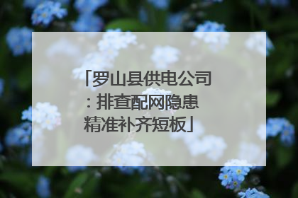 罗山县供电公司：排查配网隐患 精准补齐短板