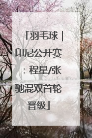 羽毛球｜印尼公开赛：程星/张驰混双首轮晋级