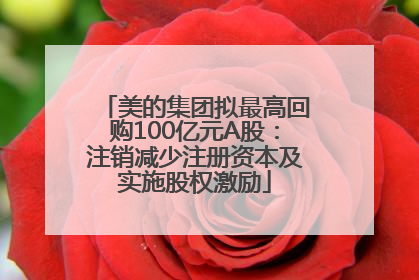 美的集团拟最高回购100亿元A股：注销减少注册资本及实施股权激励
