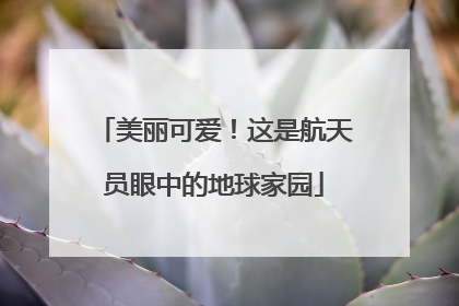 美丽可爱！这是航天员眼中的地球家园