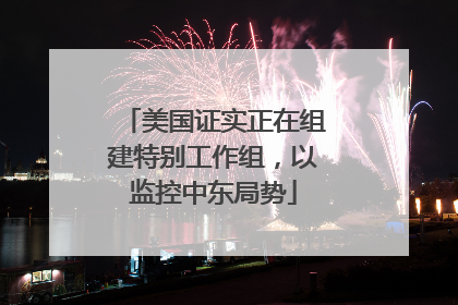 美国证实正在组建特别工作组，以监控中东局势