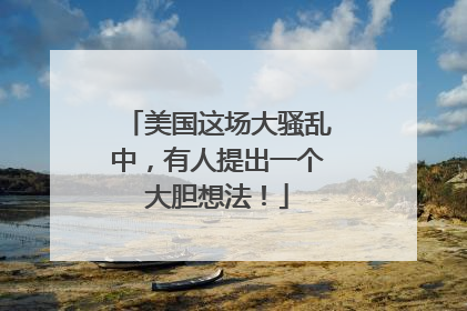 美国这场大骚乱中，有人提出一个大胆想法！