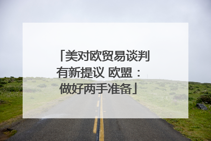 美对欧贸易谈判有新提议 欧盟：做好两手准备