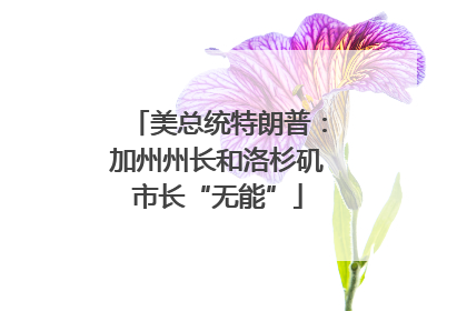 美总统特朗普：加州州长和洛杉矶市长“无能”