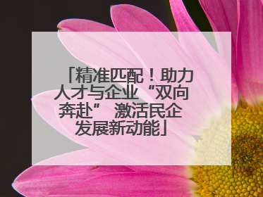 精准匹配！助力人才与企业“双向奔赴” 激活民企发展新动能