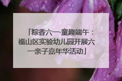 粽香六一·童趣端午：福山区实验幼儿园开展六一亲子嘉年华活动