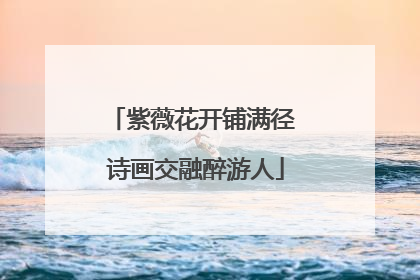 紫薇花开铺满径 诗画交融醉游人