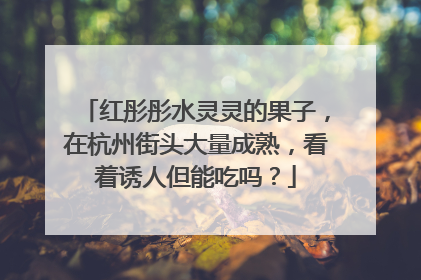 红彤彤水灵灵的果子，在杭州街头大量成熟，看着诱人但能吃吗？