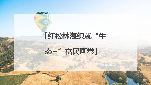 红松林海织就“生态+”富民画卷