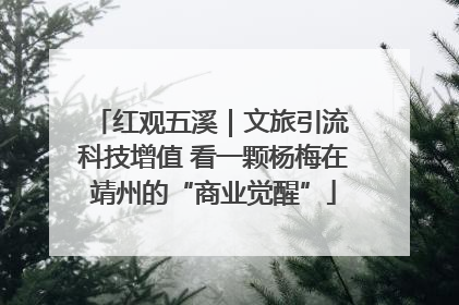 红观五溪｜文旅引流 科技增值 看一颗杨梅在靖州的“商业觉醒”