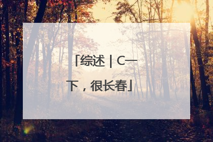 综述｜C一下，很长春