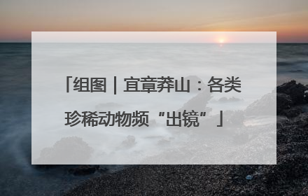 组图｜宜章莽山：各类珍稀动物频“出镜”