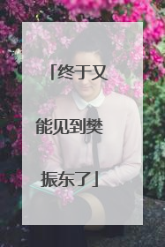 终于又能见到樊振东了