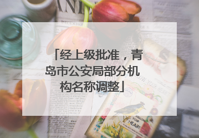 经上级批准，青岛市公安局部分机构名称调整