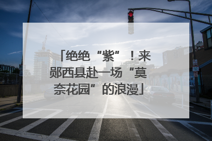 绝绝“紫”！来郧西县赴一场“莫奈花园”的浪漫