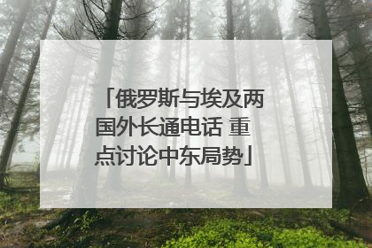 俄罗斯与埃及两国外长通电话 重点讨论中东局势
