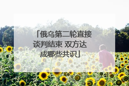 俄乌第二轮直接谈判结束 双方达成哪些共识