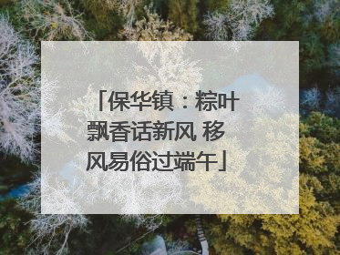 保华镇：粽叶飘香话新风 移风易俗过端午