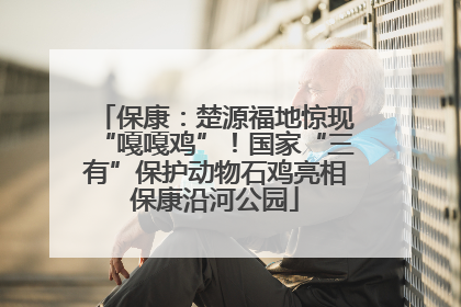 保康：楚源福地惊现“嘎嘎鸡”！国家“三有”保护动物石鸡亮相保康沿河公园