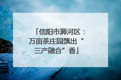 信阳市浉河区：万亩茶庄园飘出“三产融合”香