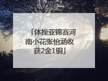 体操亚锦赛河南小花张怡涵收获2金1铜