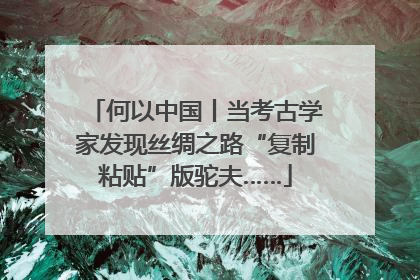 何以中国丨当考古学家发现丝绸之路“复制粘贴”版驼夫……