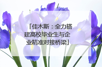 佳木斯：全力搭建高校毕业生与企业精准对接桥梁