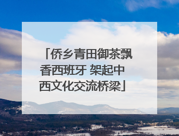 侨乡青田御茶飘香西班牙 架起中西文化交流桥梁
