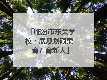 临汾市东关学校：展规划硕果 育五育新人