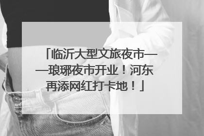 临沂大型文旅夜市——琅琊夜市开业！河东再添网红打卡地！