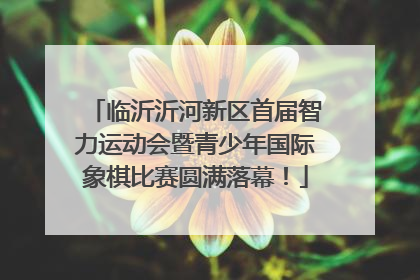临沂沂河新区首届智力运动会暨青少年国际象棋比赛圆满落幕！