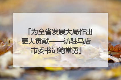 为全省发展大局作出更大贡献——访驻马店市委书记鲍常勇