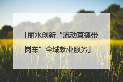 丽水创新“流动直播带岗车”全域就业服务