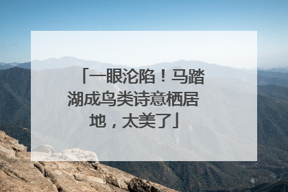 一眼沦陷！马踏湖成鸟类诗意栖居地，太美了